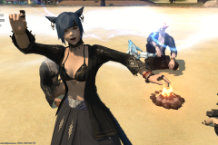 ffxiv_11082022_000421_556