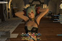 ffxiv_18122017_024734